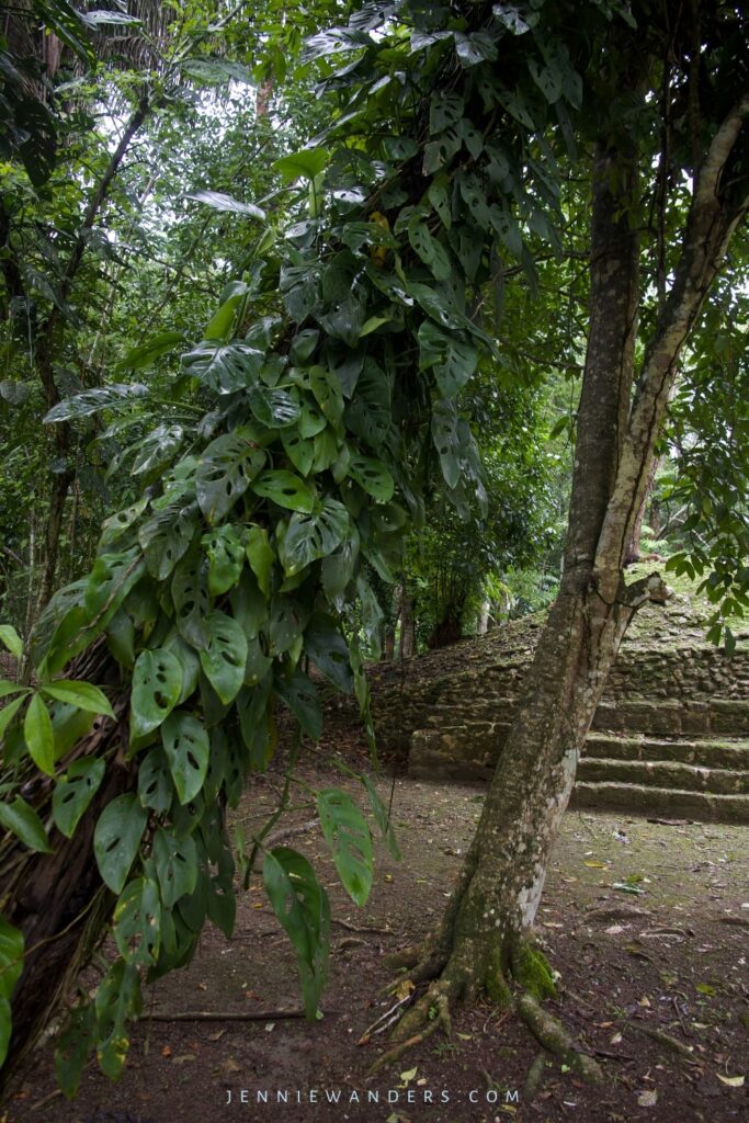 Xunantunich from San Ignacio