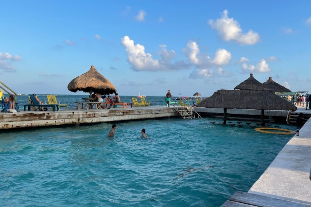 Where To See Stingrays in Caye Caulker