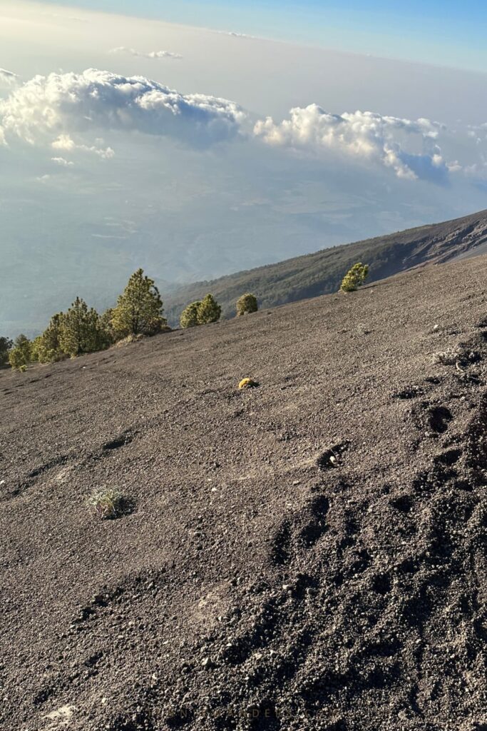 Acatenango hike difficulty