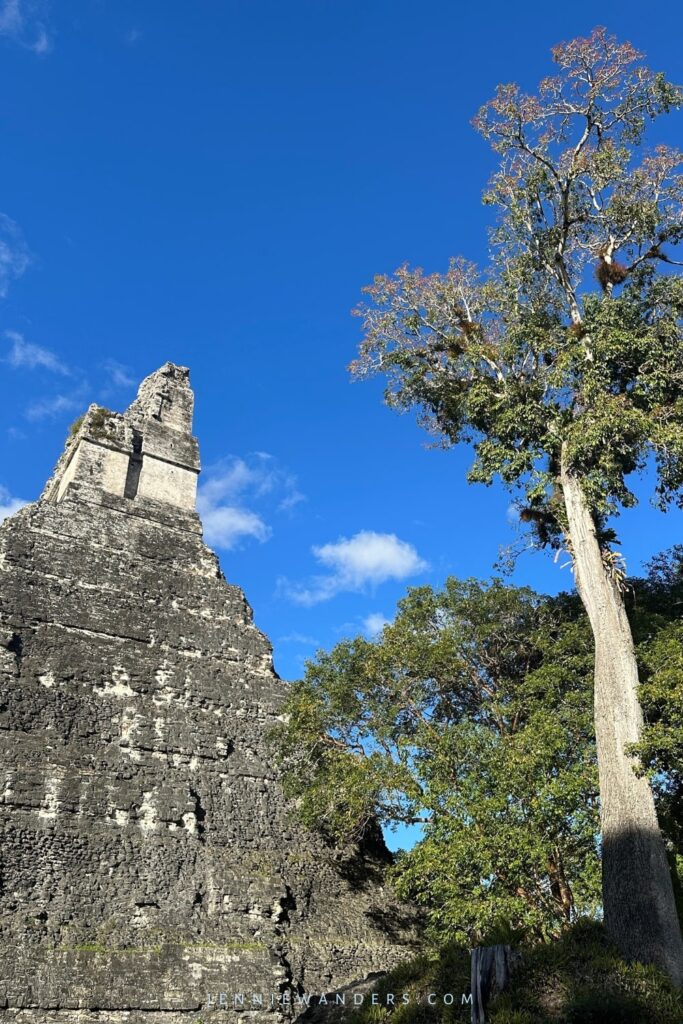 tikal tour cost