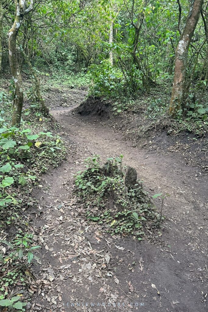 Pacaya Volcano Hike Difficulty