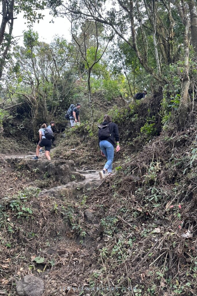 Pacaya Volcano Hike Difficulty