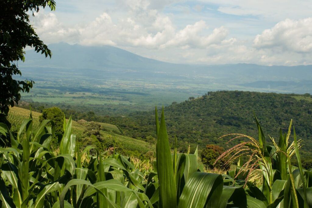 San Salvador to El Tunco