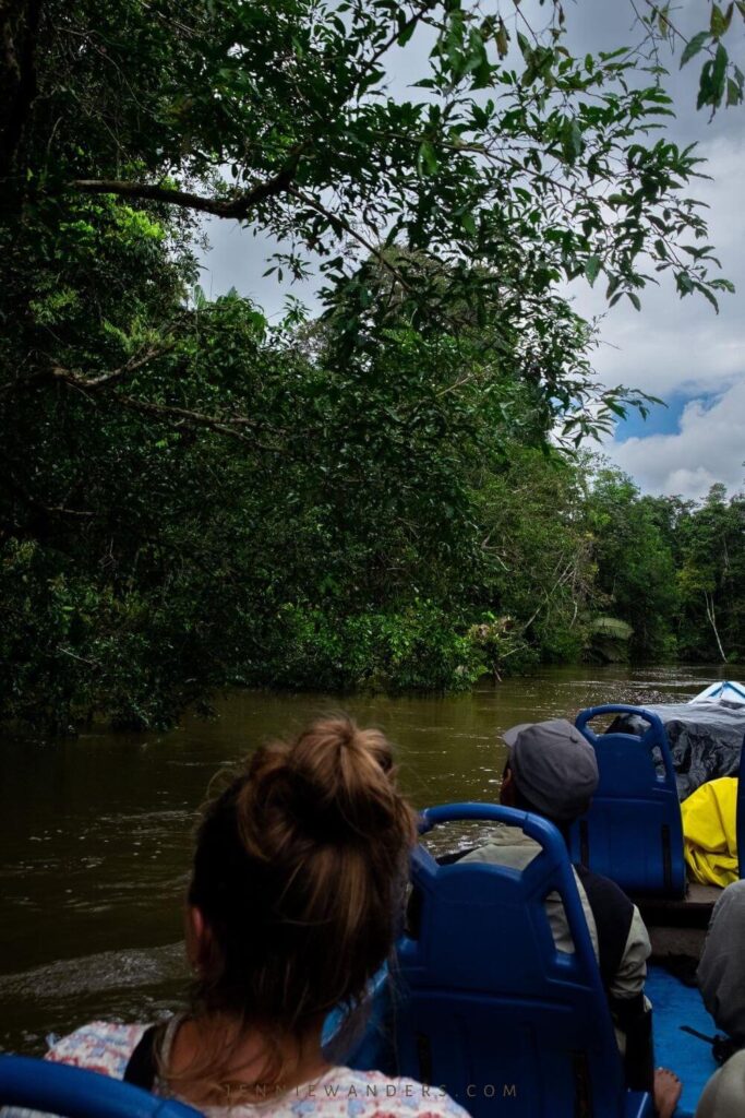 Amazon Tours Ecuador