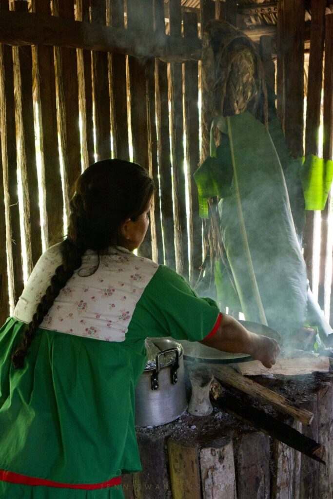 Amazon Tours Ecuador