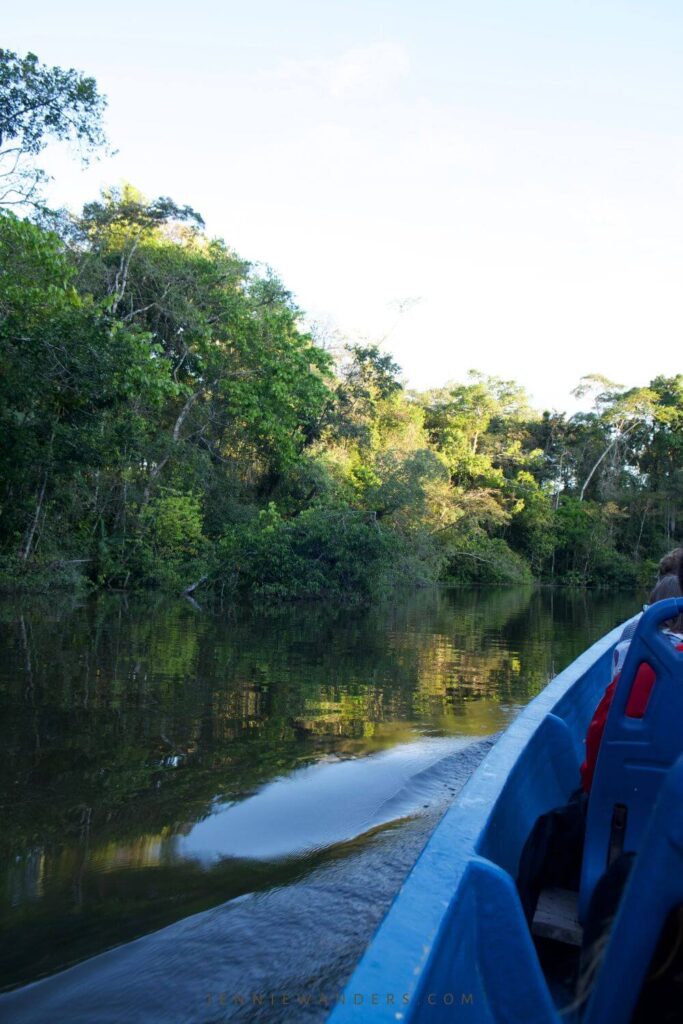 Amazon Tours Ecuador