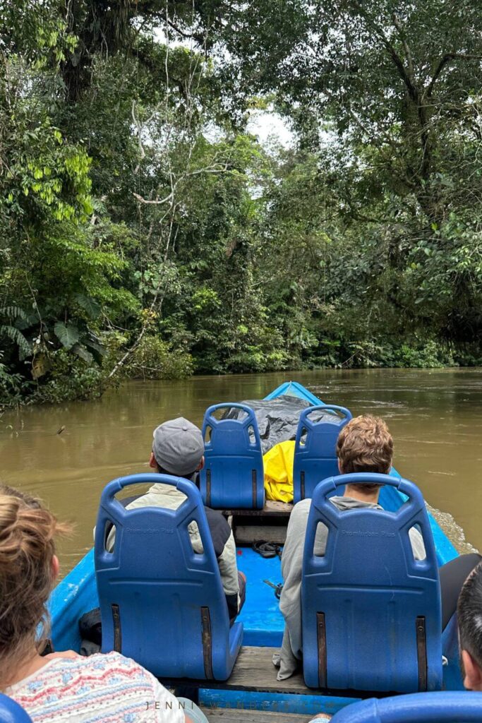 Amazon Tours Ecuador