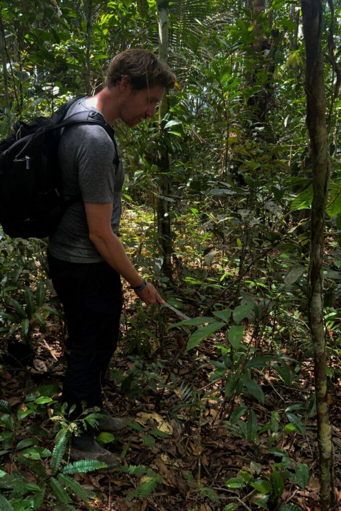 Amazon Tours Ecuador