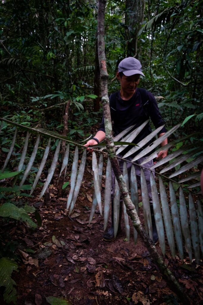 Amazon Tours Ecuador