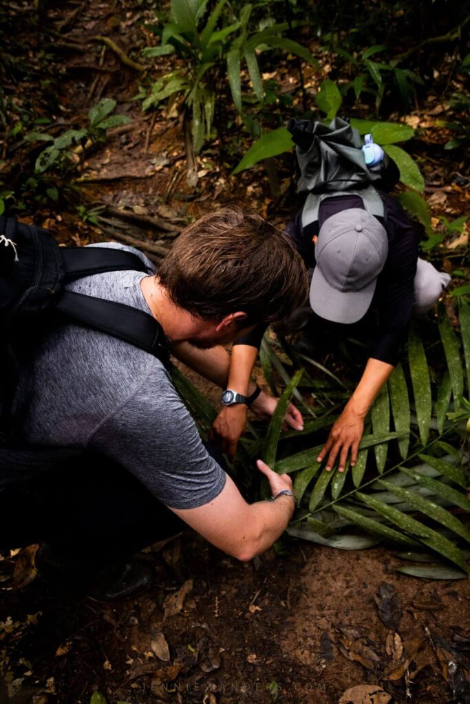 Amazon Tours Ecuador