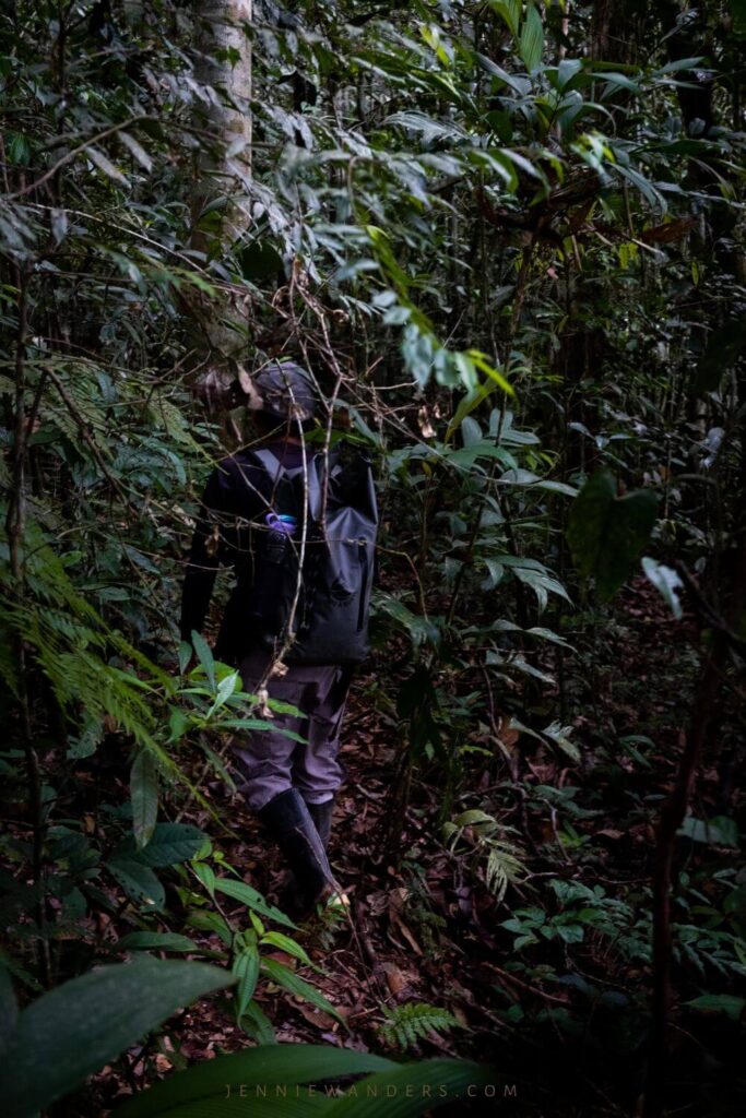 Amazon Tours Ecuador