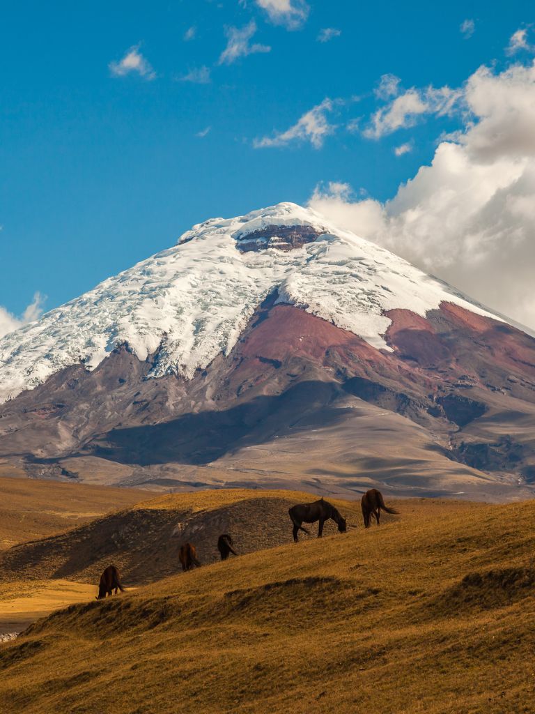 10 Days In Ecuador: Route, Itinerary & Tips (2023)