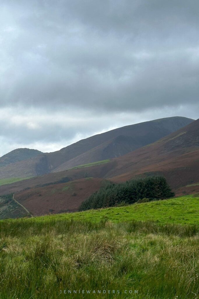 Views on the Latrigg walk 