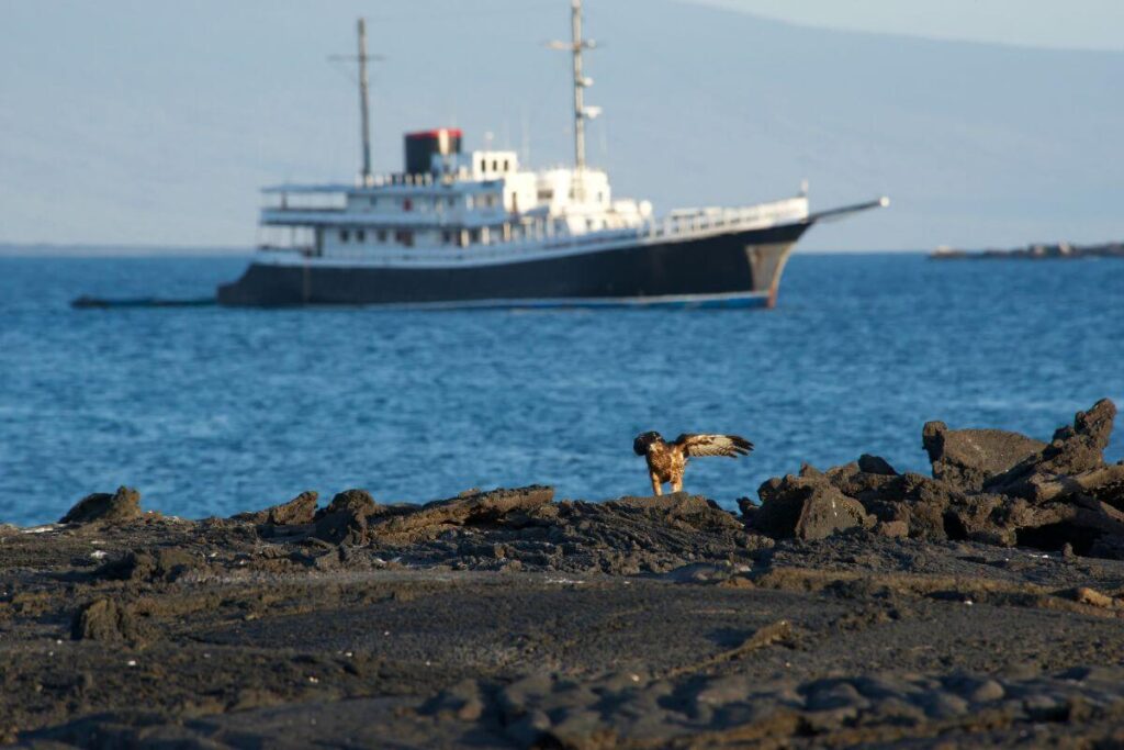 Quito to the Galapagos