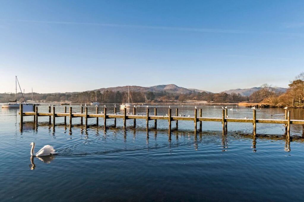 Swimming in Lake Windermere