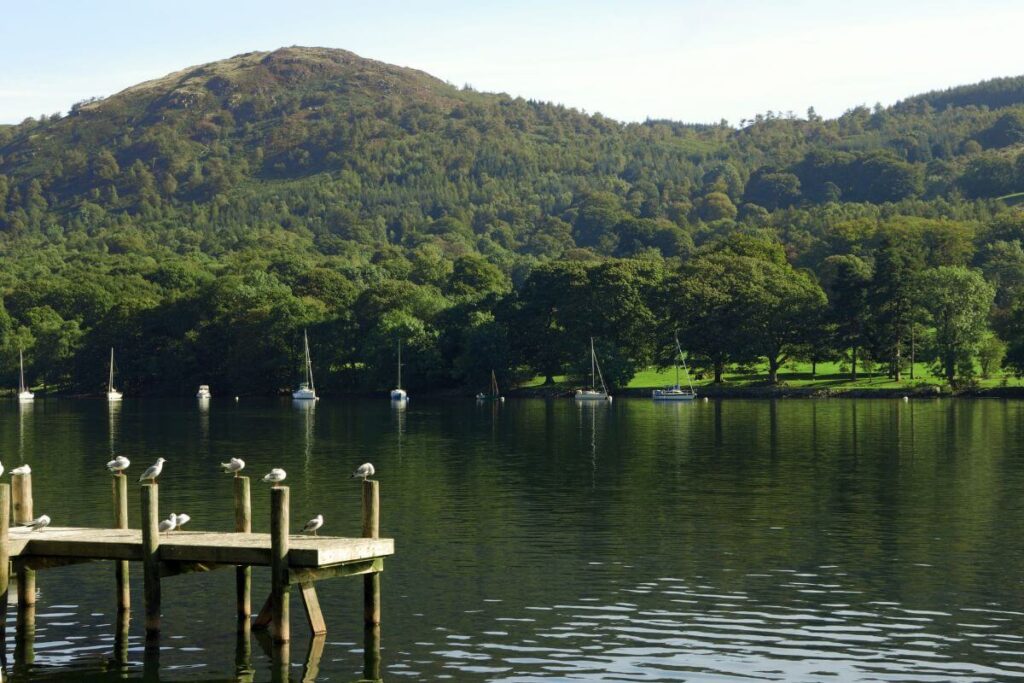 Swimming in Lake Windermere