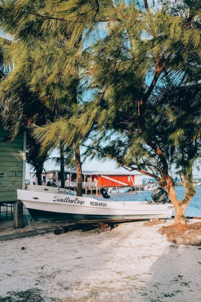 Things To Do In Caye Caulker