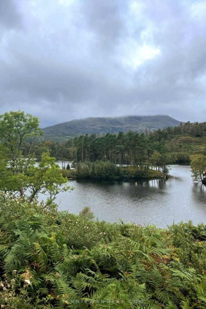 tarn hows walk lake district