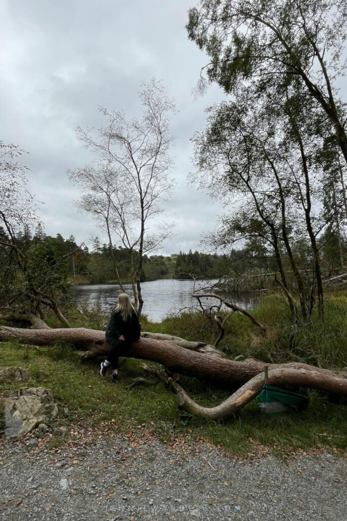 Me on the Tarn Hows walk