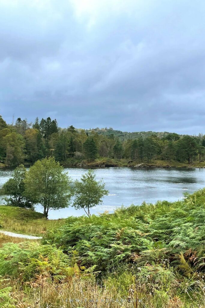 tarn hows walk lake district